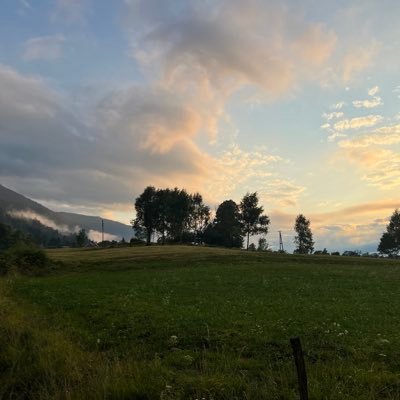 trey0798's profile picture. 