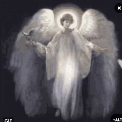 angeeelbluee349's profile picture. 