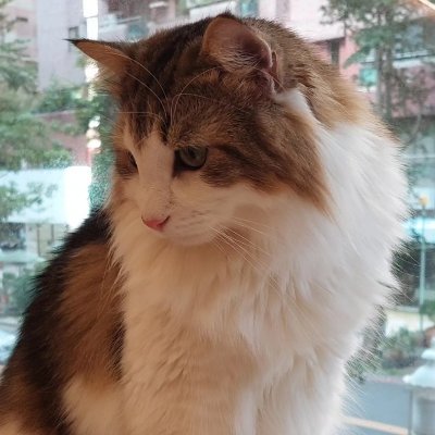 多關注你愛的 遲早吸引一切你所愛的
אני האדם הכי בר מזל בעולם
藍天: 靈感之 鋼筆記錄本
https://t.co/faw1sjI0SX
金剛戰士閱讀金剛經