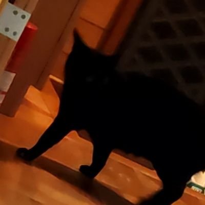 kabeutinohito1's profile picture. 