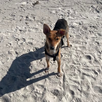 MagdaRoszk35970's profile picture. 