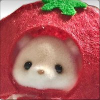 여름 (@mysummerim) 's Twitter Profile