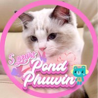 nnmwhan (@nnmwhan) 's Twitter Profile Photo nnmwhan (@nnmwhan) 's Twitter Profile Photo