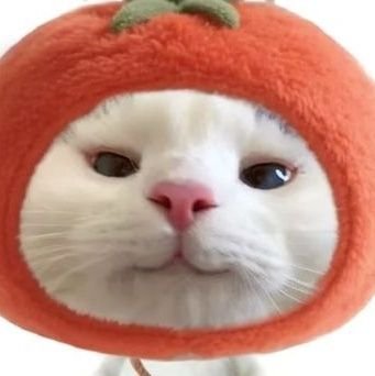 lacaloure's profile picture. study study study‼️#studytwt #archivetwt