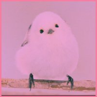 mshow129 (@mshow129233446) 's Twitter Profile Photo