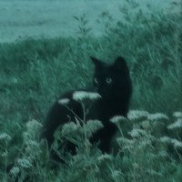 Auri (@oravyni) 's Twitter Profile Photo