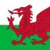 Welsh Nationalist (@welshbritnation) Twitter profile photo Welsh Nationalist (@welshbritnation) Twitter profile photo