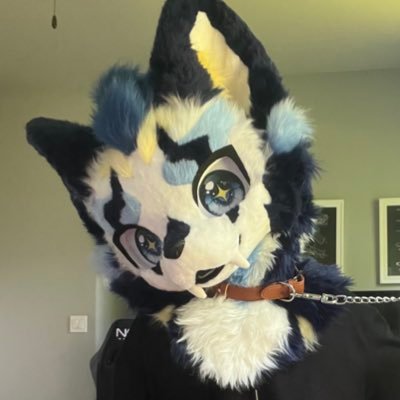 Personal account 🔞, I just like reposting stuff. Femboy content @Prinzy_owo