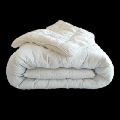 allseasonevol's profile picture. 인생 최대 덕질중 ❤️🩷💙💛 • they/she