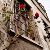 ⚚ Medine (@bektstm) 's Twitter Profile