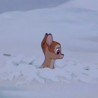 a_uauia's profile picture. 