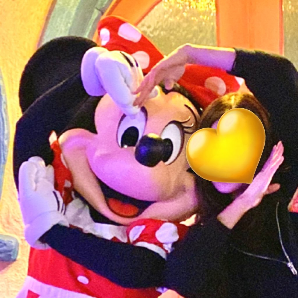 ✈️AULANI 1 * WDW 1 * SHDL 3* DLR17(deluxe3年 ) * HKDL34(silver6年)ピューロ7年