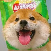 chips (@chips_bags) 's Twitter Profile