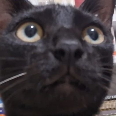 MANiA_0524's profile picture. Bléh.