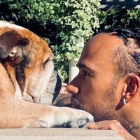 rhino🏁 (@f1gure__8) 's Twitter Profile