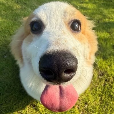 heaven__com's profile picture. 폐관수련계정