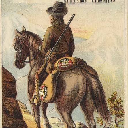 testudo_am's profile picture. Christus Rex