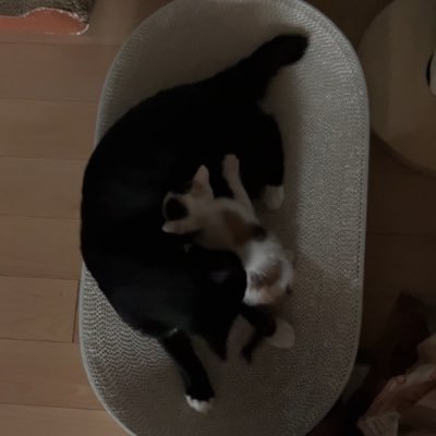 λ₯νμπΎλ₯νμ Profile
