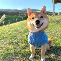 ゆづき☀️ (@yuzuki_note) 's Twitter Profile