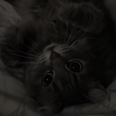 VexDevvx's profile picture. Portfolio: https://t.co/TLzpUODgAI
Discord: vex.lf