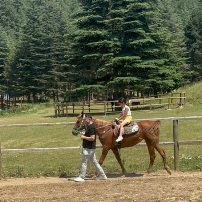 Sagbey1's profile picture. Writer / Theoretical Psychoanalyst / Language (EN/FR/TR ∴ Symbolism) / Ethics / Flesh