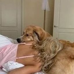 Uirirarkil1696's profile picture. 