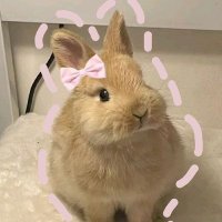Lynnie Olympia (@rodnt_sktchbook) 's Twitter Profile