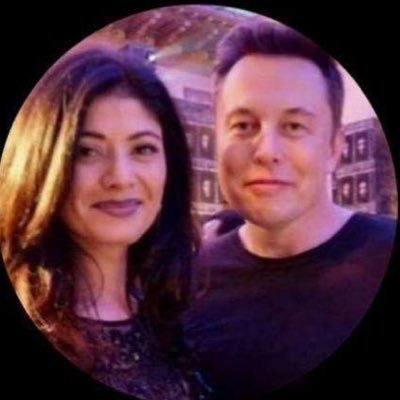 Protecting Elon Musk's online presence from impersonators is my top priority, leveraging my cybercrime expertise to safeguard his digital identity.