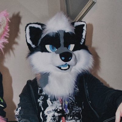 I’m Nath, an average trash cat 🦝 || 27 || shitpost 24/7 || will bite || 🦝 🔞 🧵🪡 @koshkafursuits