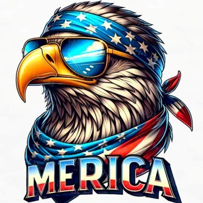 * Never Let Fear Decide Your Future * Freedom Lies In Being Bold * MAGA STRONG 🇺🇸💪 Support Vets. 1A/2A * America First * Country Boy * Friends Call Me 'E'