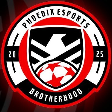 Phoenix eSports Profile