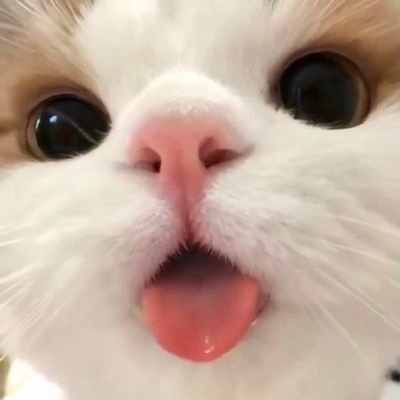 soulfullmess's profile picture. 