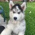Carmen DeLuka (@carmensand1627) Twitter profile photo Carmen DeLuka (@carmensand1627) Twitter profile photo