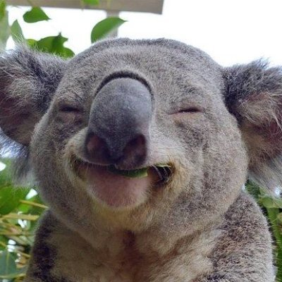 Pokou_Fnt's profile picture. FA