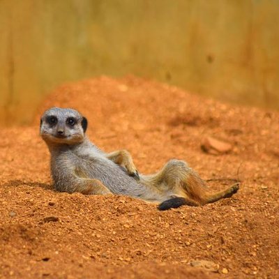 FazioGariel02's profile picture. Nothing to see here.