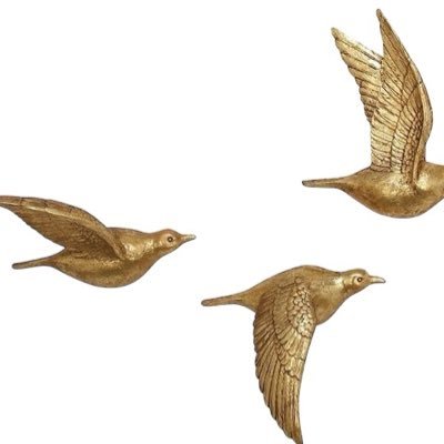 hig58968's profile picture. 