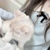 ೀ (@lswerto) Twitter profile photo ೀ (@lswerto) Twitter profile photo