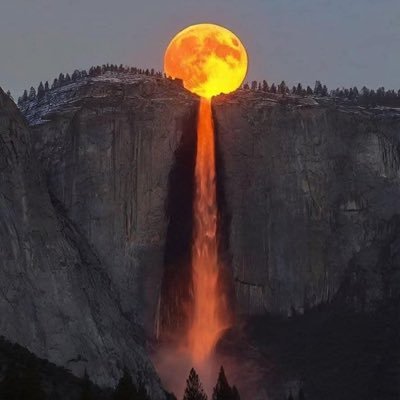 cetenarubwc's profile picture. 