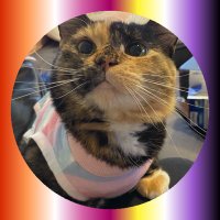 Missy Elliot III ππΎ (@missyelliotcat) 's Twitter Profile Photo Missy Elliot III ππΎ (@missyelliotcat) 's Twitter Profile Photo