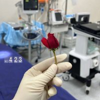 Dr Ammar (@dr_ammar_h) 's Twitter Profile