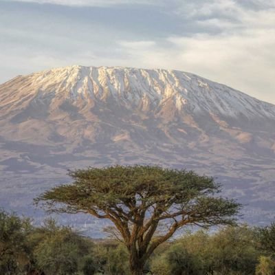 word7282929655's profile picture. 