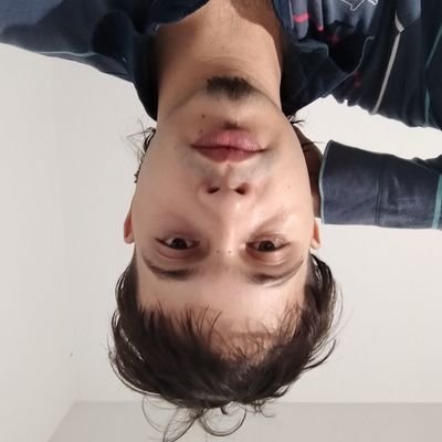 Cyber Monkey 🐵🤖