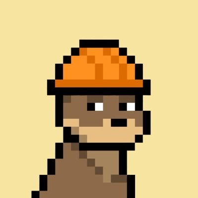 parsa⛺ Profile