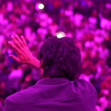 laurce_jack's profile picture. 🤍