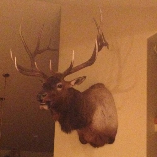 BillBuglin's profile picture. Daytrader & songwriter.  I follow all things Elon, Tesla, Space X, Falcon Heavy, Neuralink, Boring, Optimus, Grok, and DogeCoin. Maybe one day Mars. Flying Cars