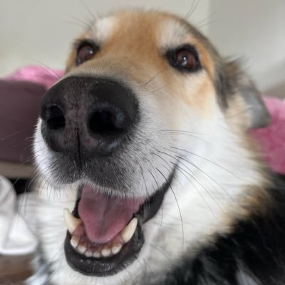 DipTextMe's profile picture. Making Items for CS2 and Rust