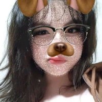collyflower (@collybea_) 's Twitter Profile