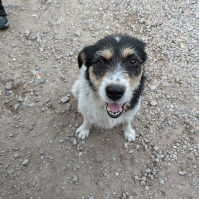 Pooltard's profile picture. What is your escape?