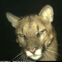 L1ght_lif3 (@trashy_g1rl) 's Twitter Profile