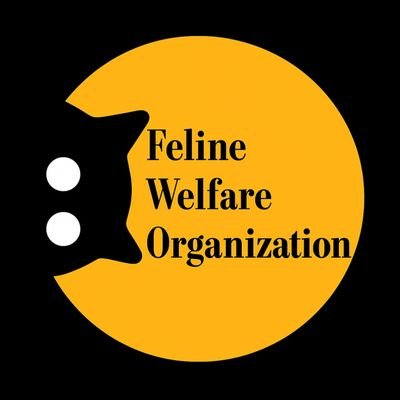 @FelineWO